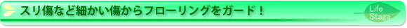 XȂǍׂt[OK[hI