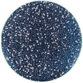 MRSA